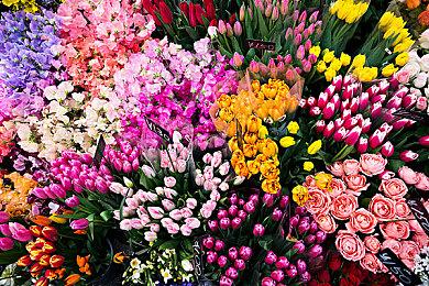 最后的狂欢 《不羁联盟》最终更新包括计划中5个赛季内容